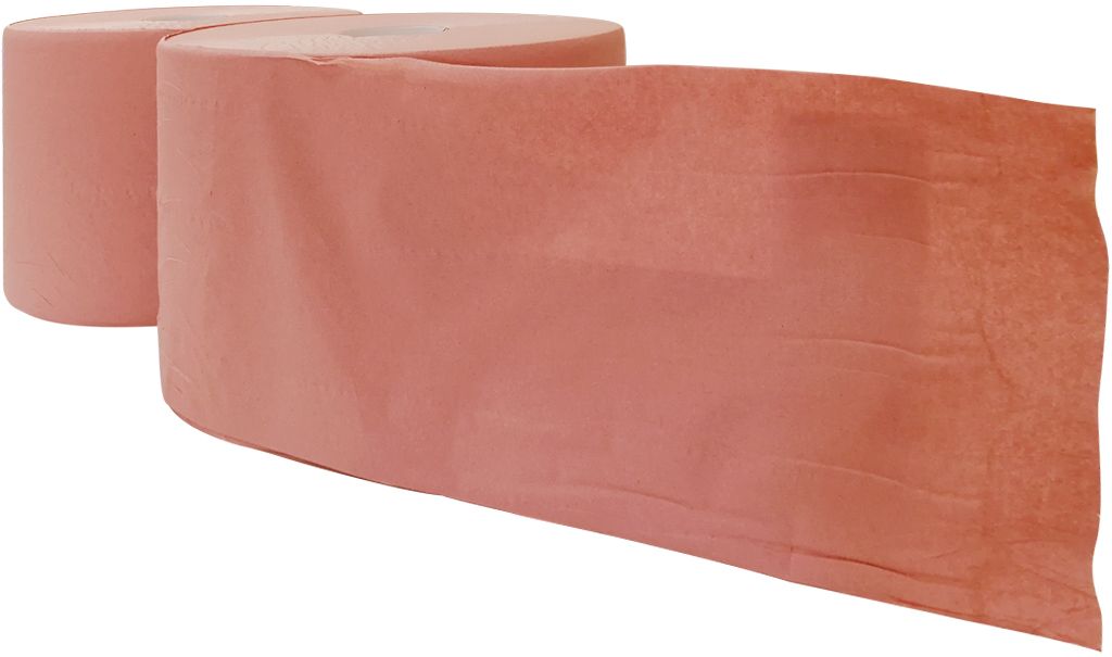 DELAISY KARGO DKC1000ECO Pack 2 bobines brunes essuyage des mains & surfaces