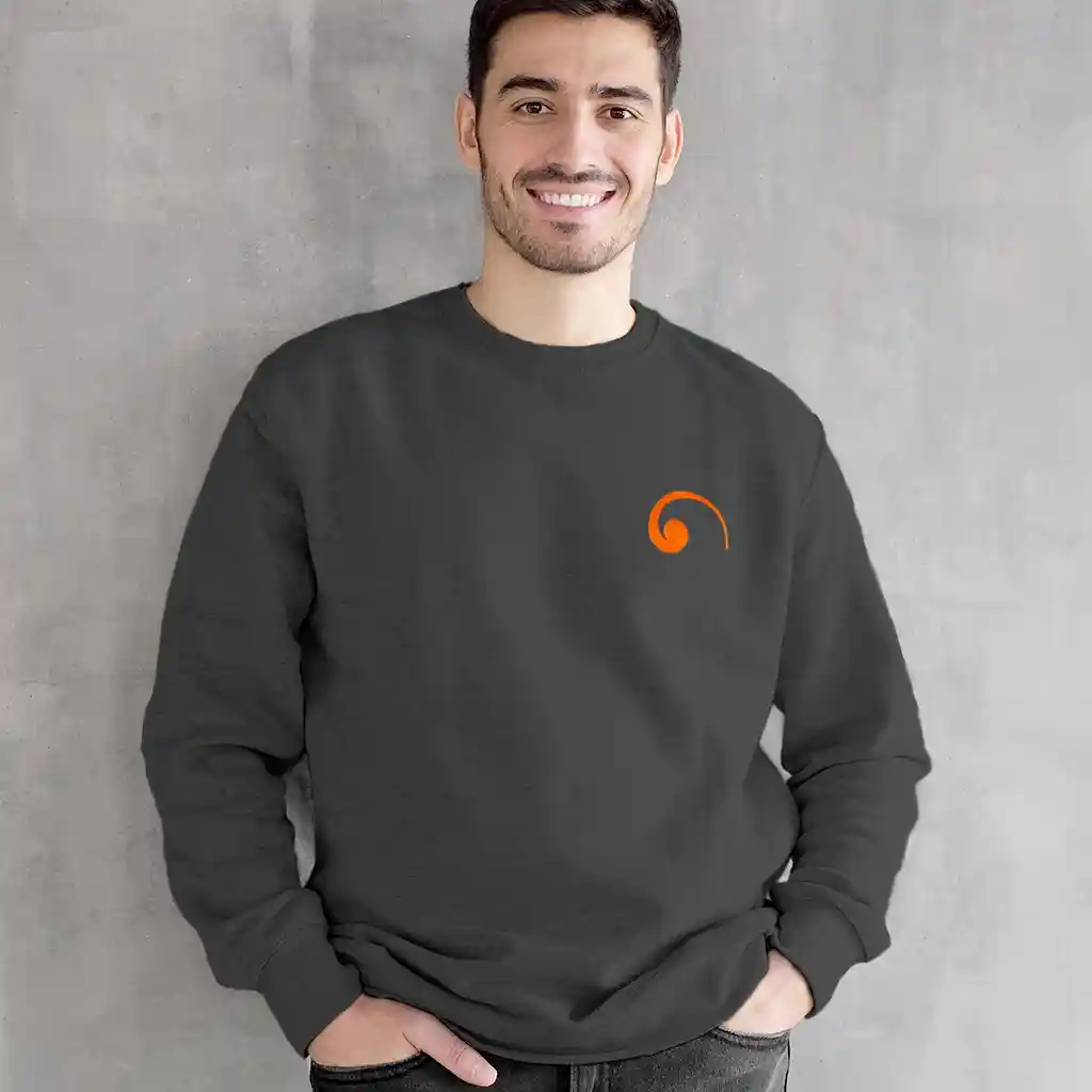 COLORBOX.EU SWEAT_GRIS_M Taille M sweat gris brodé