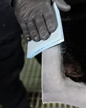 3M 33534 10 feuilles abrasives flexibles sur mousse 3M 139 x 172mm P1000